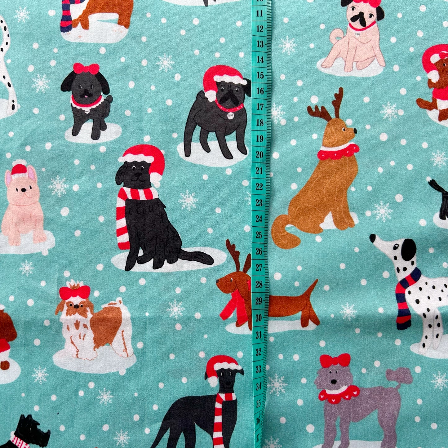 Santa Paws