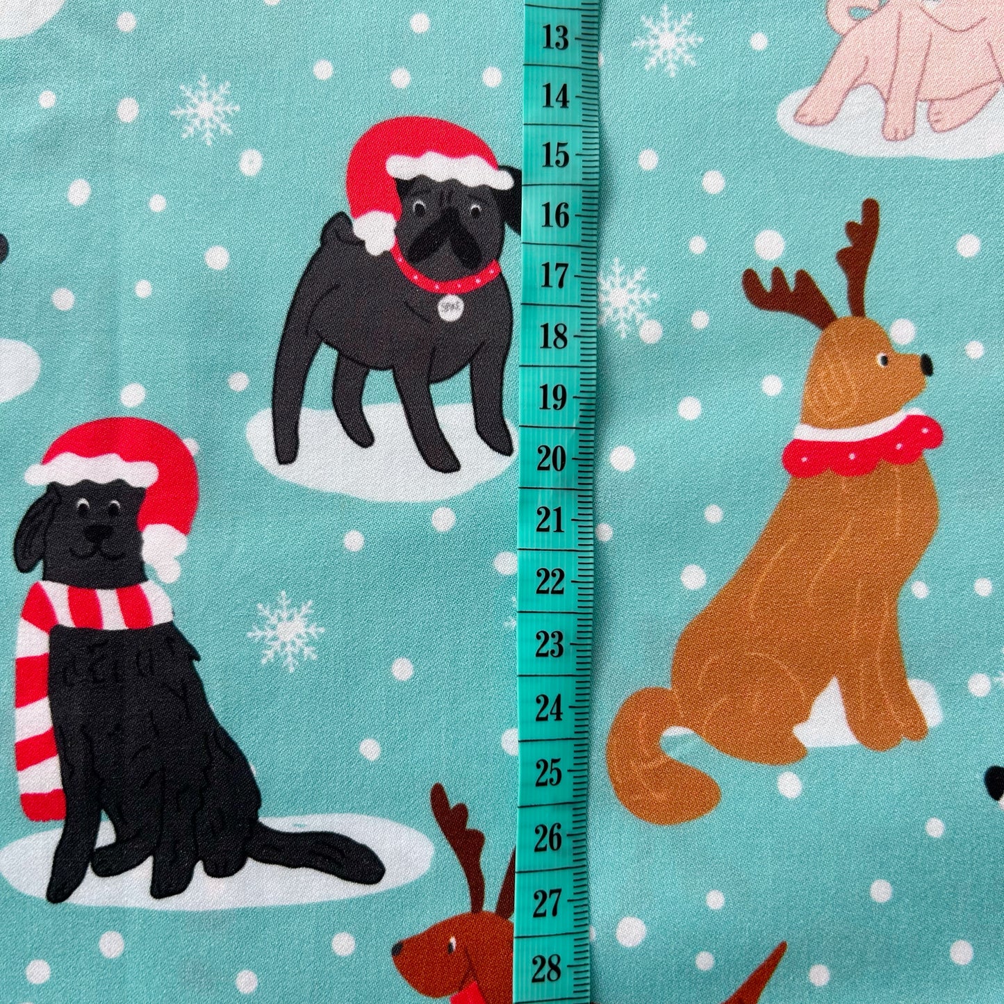 Santa Paws