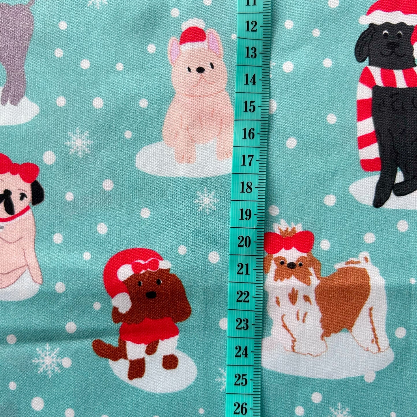 Santa Paws