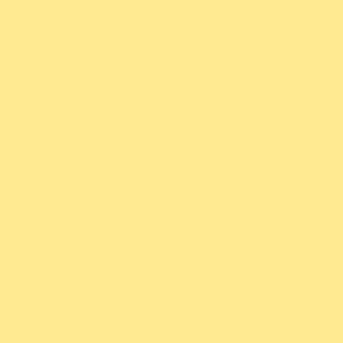 Whimsy Solids